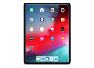 iPad Pro 3 (12.9-inch, Cellular, 1TB Model)