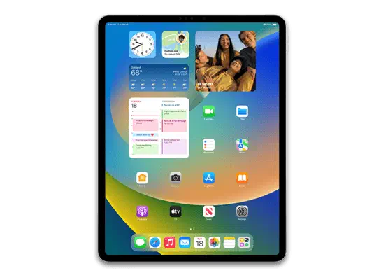 iPad Pro (12.9-inch, WiFi) (6th generation)